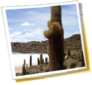 Miesto panorama kelionei - Bolivija, orai, telefono kodas, foto galerija