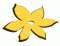 FlowerChild LLC
