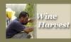 Make your own wine with the best wine makers  4 days/ 3 nights