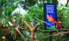 Jurong Bird Park