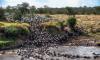 4 Days Tanzania Classic Safari